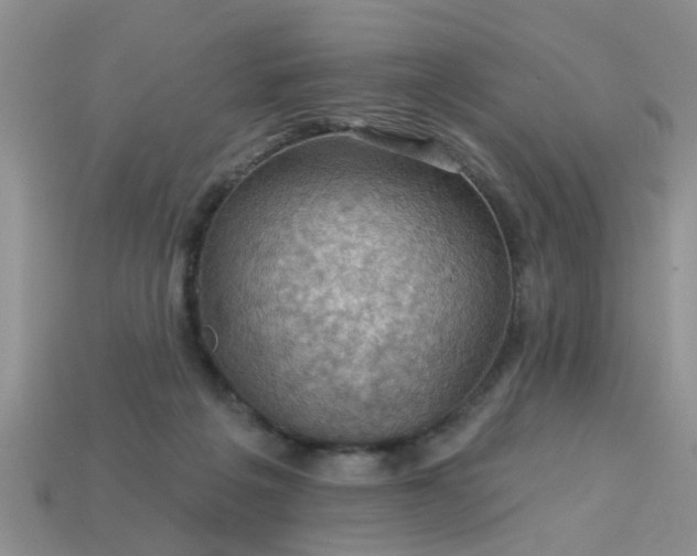 X0000113050217200909101946