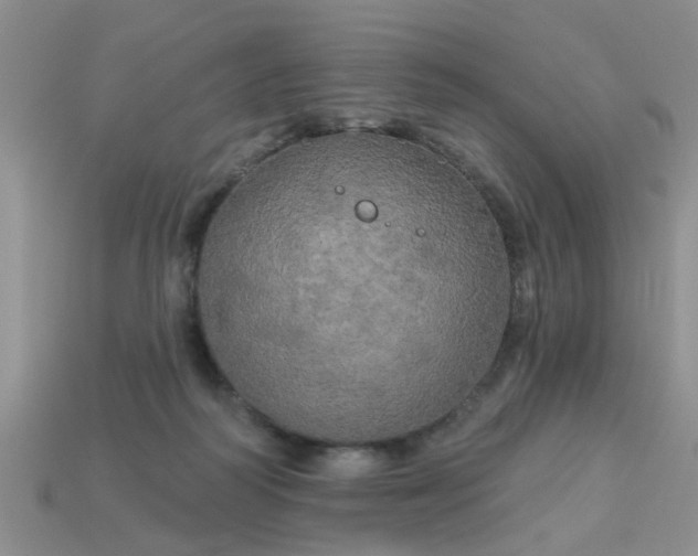 X0000113050218200909101946