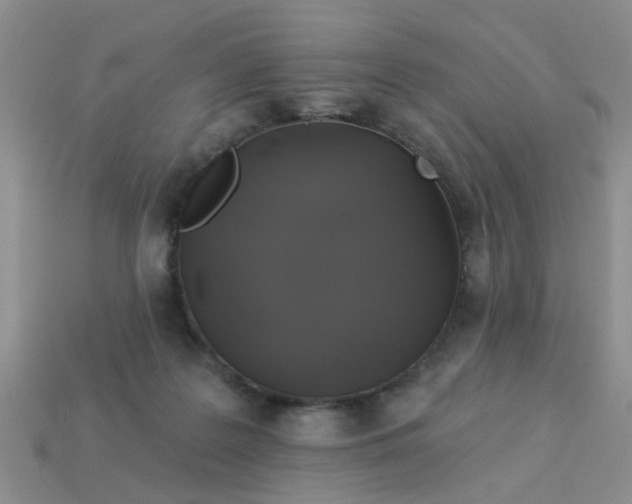 X0000113050219200909101946