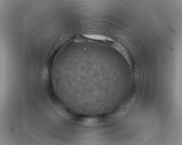 X0000113050220200909101946