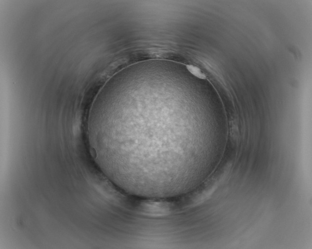 X0000113050221200909101946