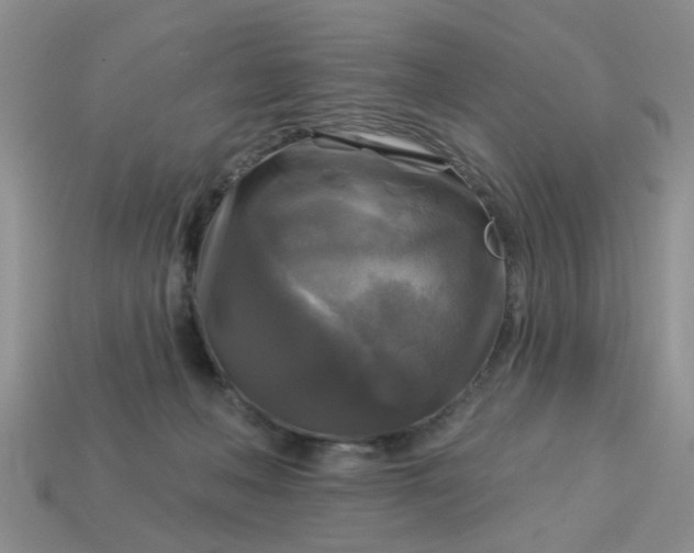 X0000113050222200909101946