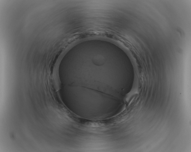 X0000113050223200909101946