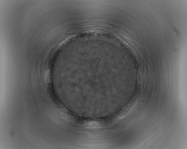 X0000113050224200909101946