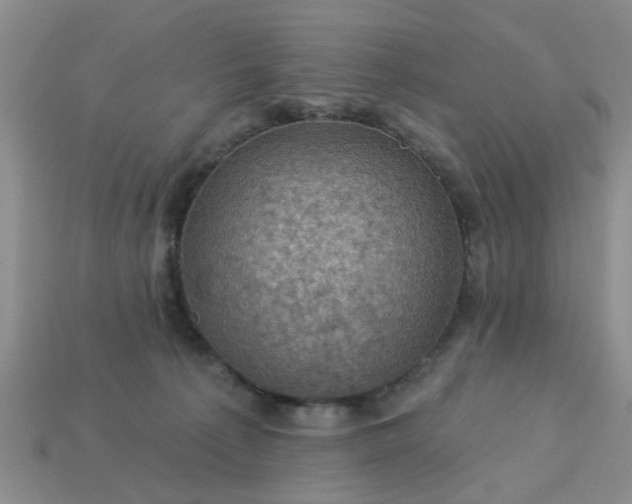 X0000113050225200909101946