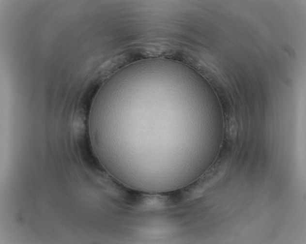 X0000113050226200909101946