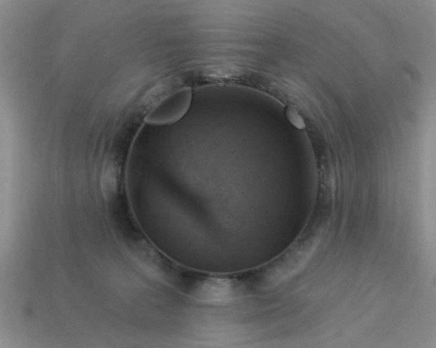 X0000113050227200909101946