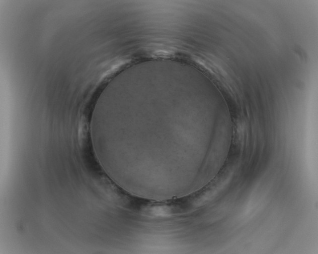 X0000113050228200909101946