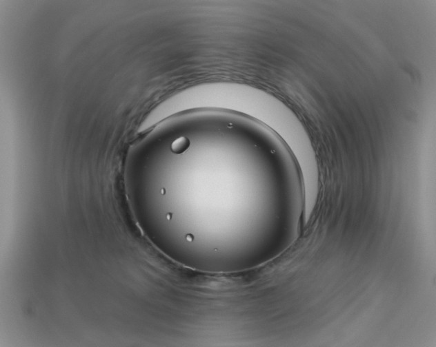 X0000113050229200909101946