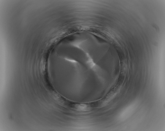 X0000113050230200909101946