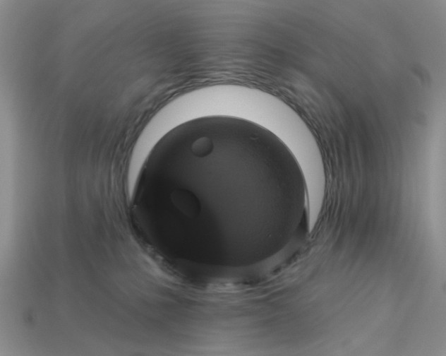 X0000113050231200909101946