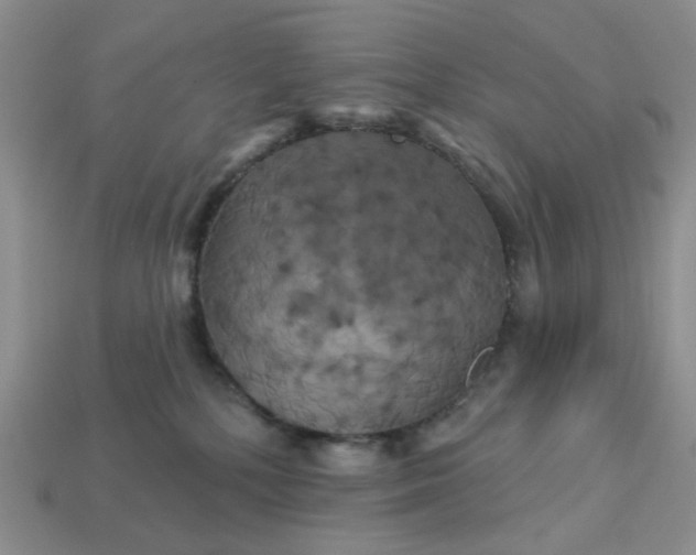 X0000113050232200909101946