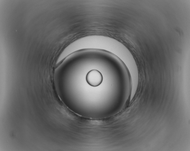 X0000113050233200909101946