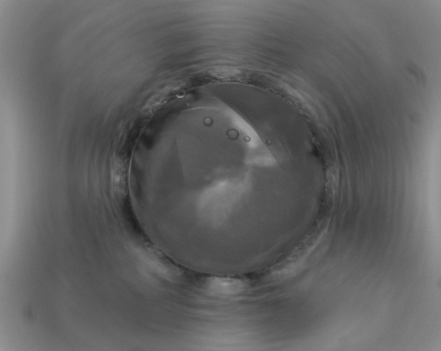 X0000113050234200909101946