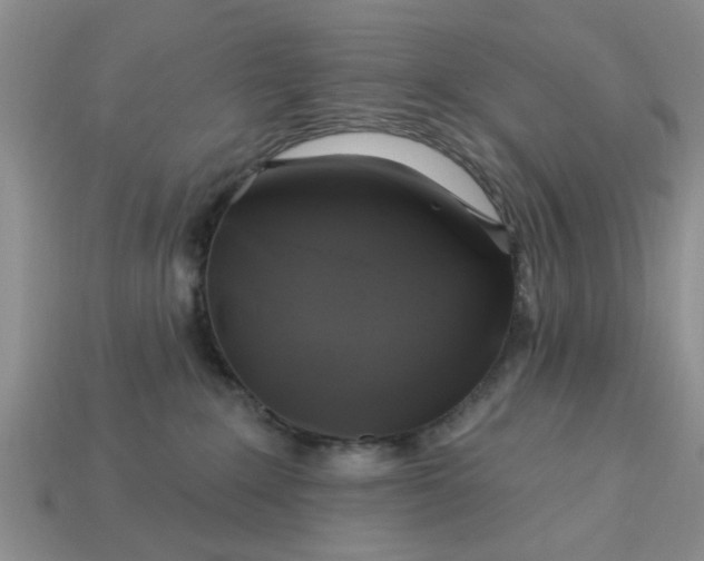 X0000113050235200909101946