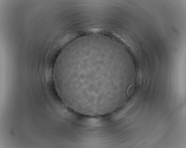 X0000113050236200909101946