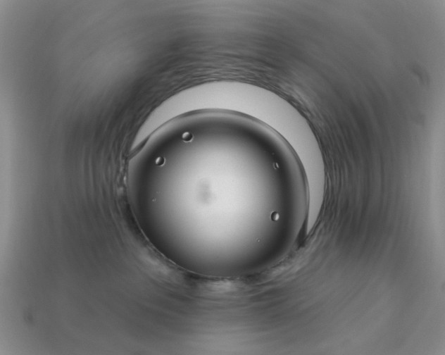 X0000113050237200909101946