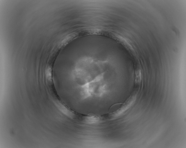 X0000113050238200909101946