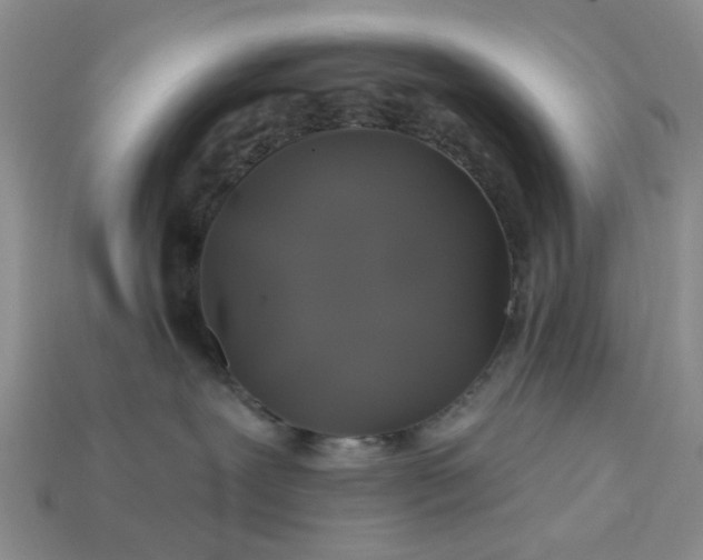 X0000113050239200909101946