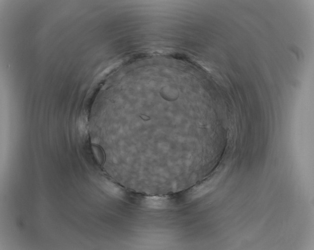 X0000113050240200909101946