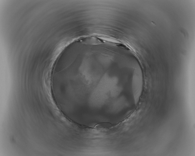 X0000113050241200909101945