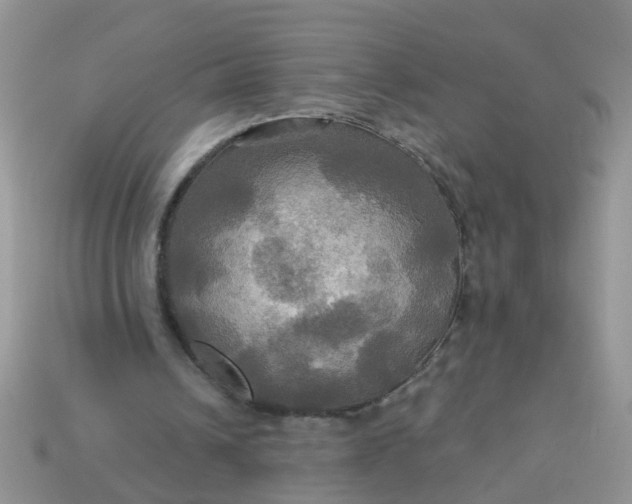 X0000113050242200909101945