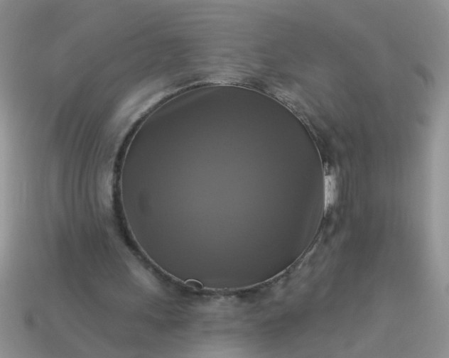 X0000113050243200909101945