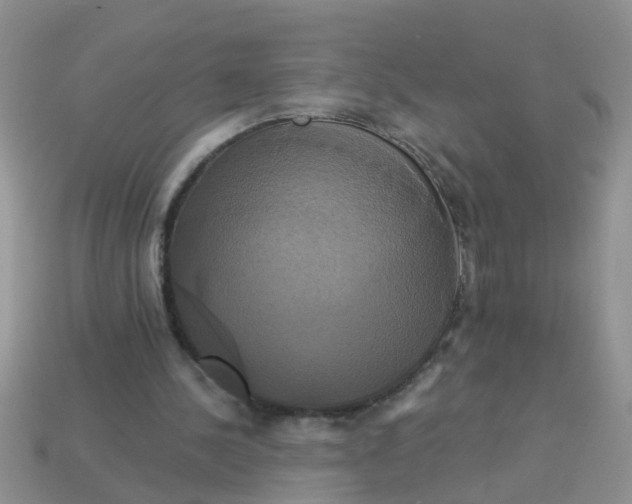 X0000113050244200909101945