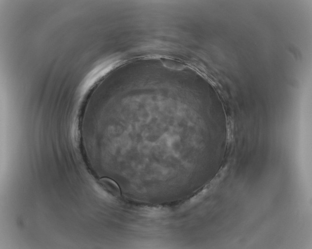 X0000113050245200909101945