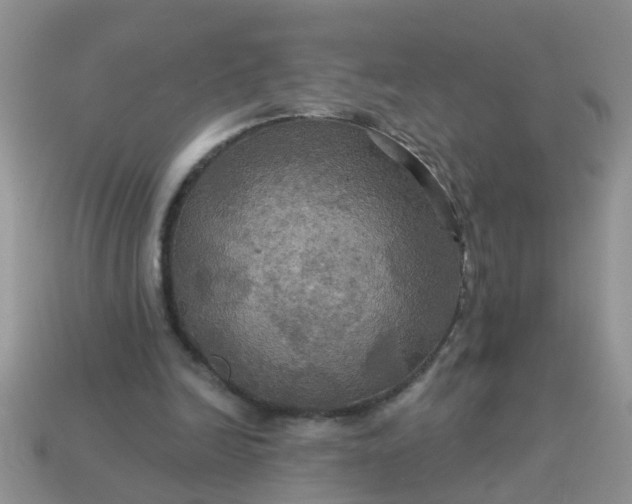 X0000113050246200909101945