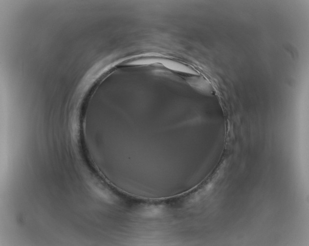 X0000113050247200909101945