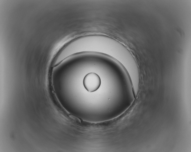 X0000113050248200909101945