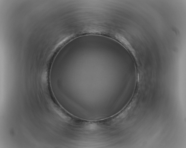 X0000113050249200909101945