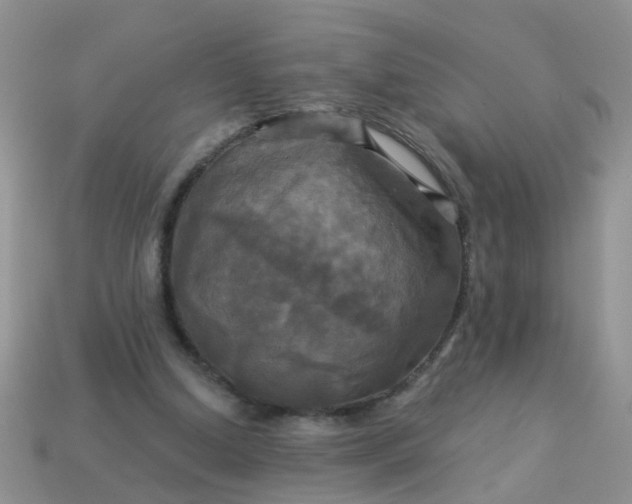 X0000113050250200909101945