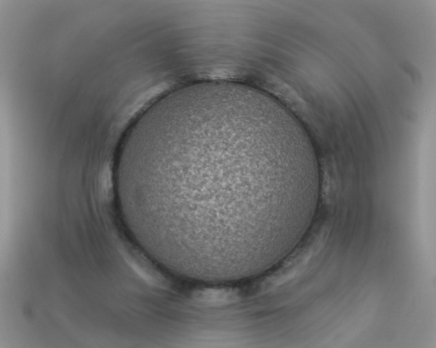 X0000113050251200909101945