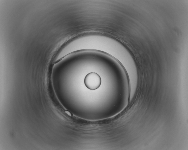 X0000113050252200909101945