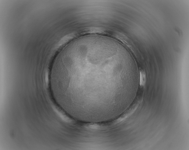 X0000113050253200909101945