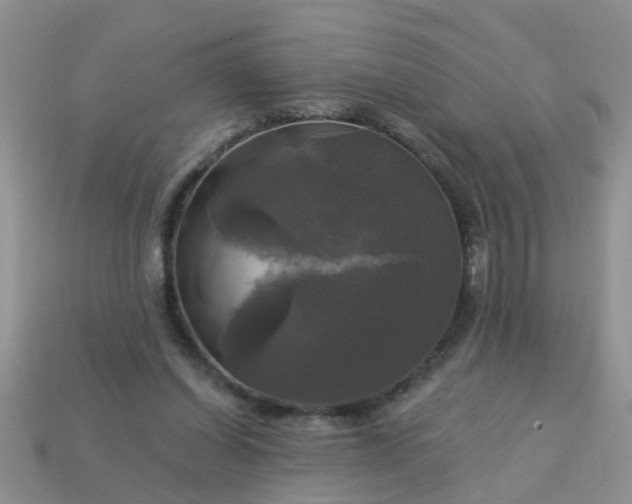 X0000113050254200909101945