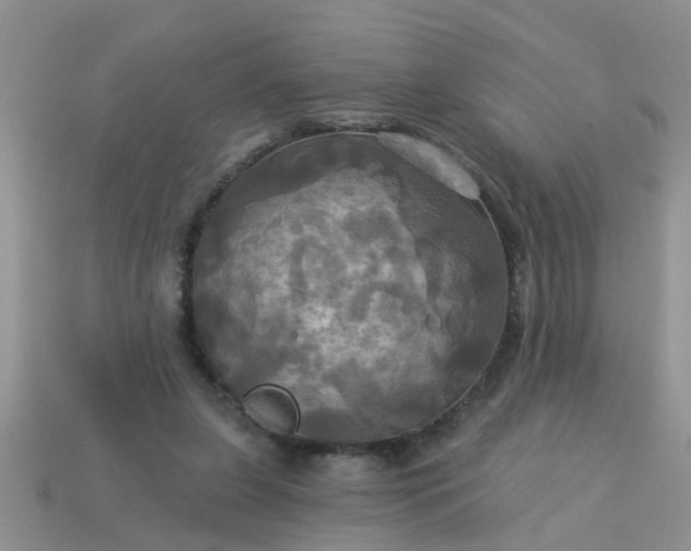 X0000113050255200909101945