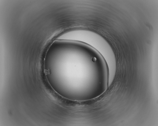 X0000113050256200909101945