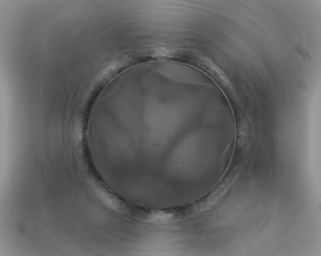 X0000113050257200909101945