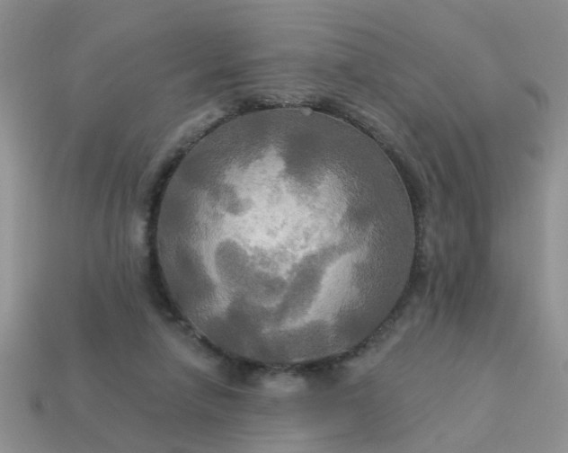 X0000113050258200909101945