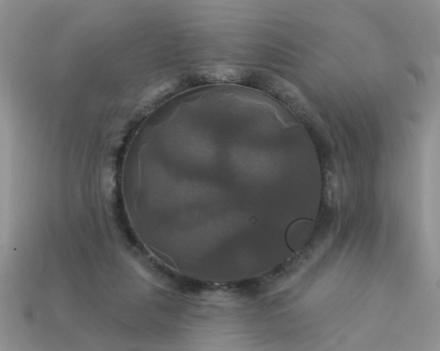 X0000113050259200909101945