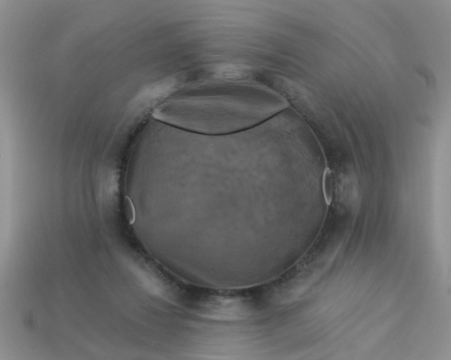 X0000113050260200909101945