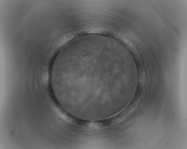 X0000113050261200909101945