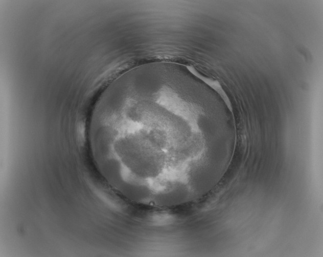 X0000113050262200909101945