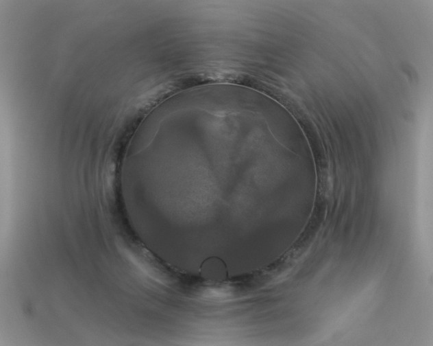 X0000113050263200909101945