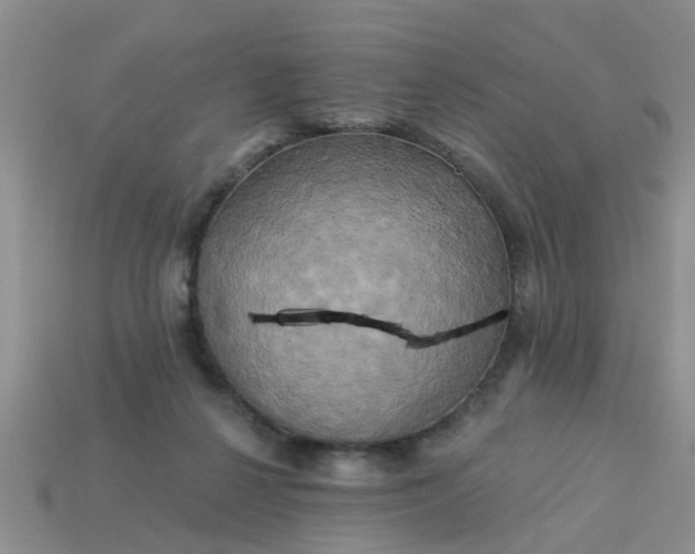 X0000113050264200909101945