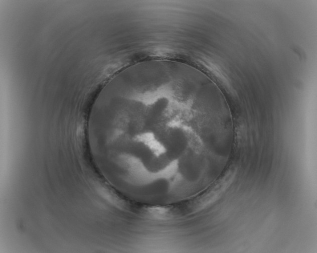 X0000113050265200909101945