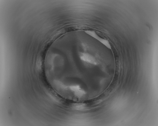 X0000113050266200909101945